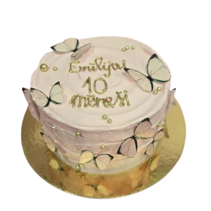 XL Bento kūciņa ar taurentiņiem